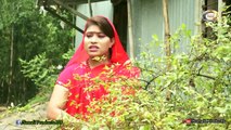 Bangla Comedy - তারছেড়া ভাদাইমা এখন কোরবানীর গরুর হাটে | ভাদাইমার ঈদ আকর্ষণ