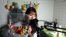 [레블 ASMR] 탕후루 이팅사운드/eating sound