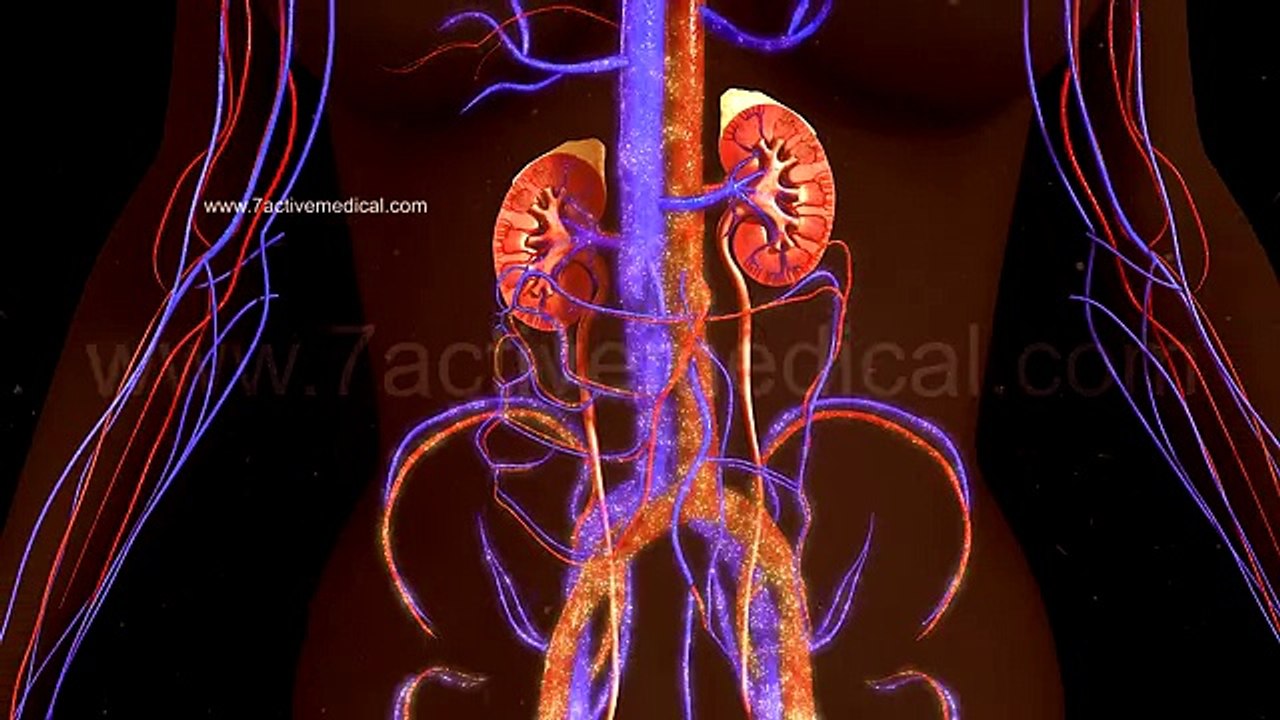 DIALYSIS
