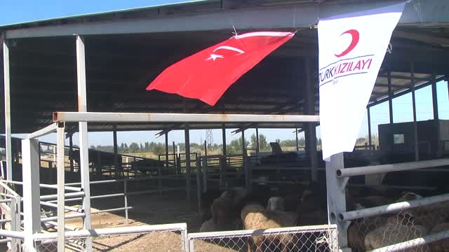 Türk Kızılayı, Kırgızistan'da Kurban Eti Dağıttı