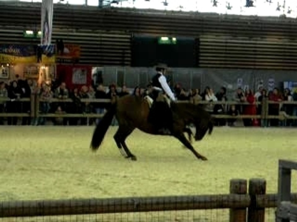 Equita'Lyon 6