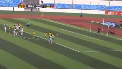 highlights - CPV  RCA