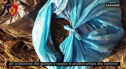 VID-20170829-WA0011
