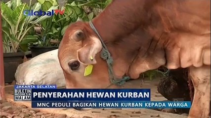 Download Video: MNC Peduli Bagikan Hewan Kurban kepada Warga di Kelurahan Rawa Barat