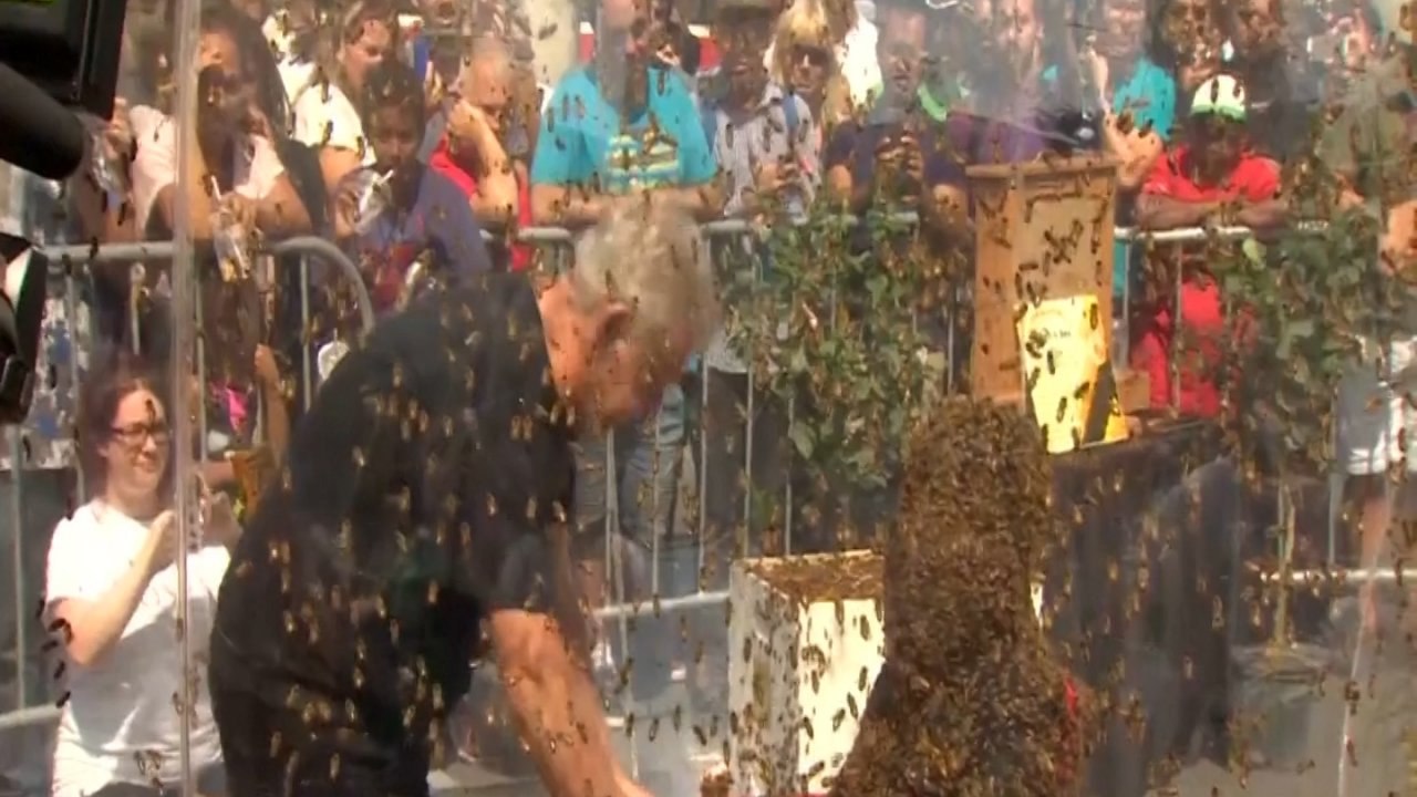 New 'bee beard' record set in Toronto