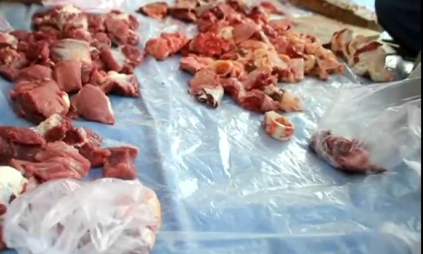 Petugas Kesehatan Temukan Cacing Pada Hewan Kurban