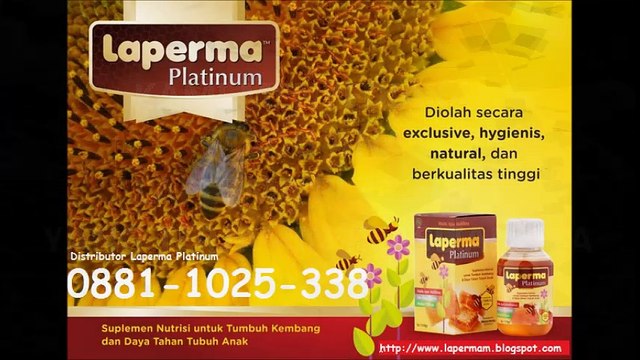 DISTRIBUTOR MADU ANAK LAPERMA PLATINUM