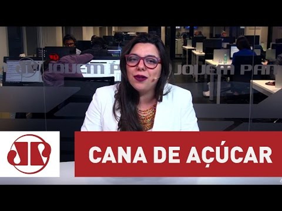 Produção de cana de açúcar no Brasil deve crescer 2,9% nesta safra | Jovem Pan