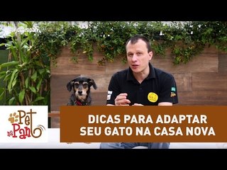 Pet Na Pan #13 - Três dicas para adaptar seu gato em uma casa nova