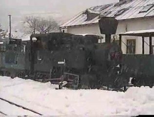 Zimná fašiangová jazda / On the train in winter ČHŽ (SK, 2001)