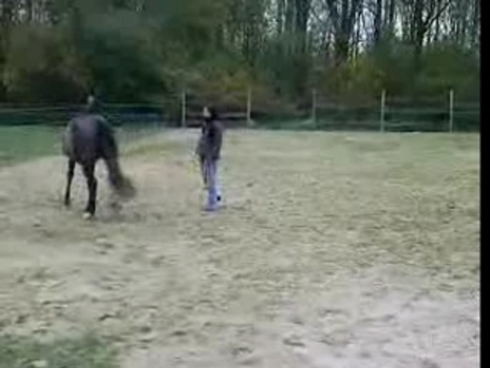 Vidéo-0002