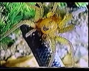 حديقة الحيوان