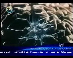 تطور  المخ  البشرى