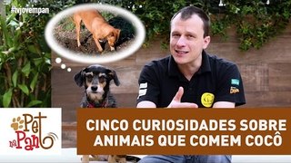 Pet Na Pan #14 - Cinco curiosidades sobre animais que comem cocô | Jovem Pan