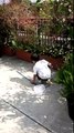市川海老蔵さん 長男カンカン 自宅マンションのお庭で「蝶々さん、きてください！」