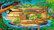 El Delaware por un tenido el el paraca el el libro selva | cuentos infantiles español | cuentos niños | cuentos