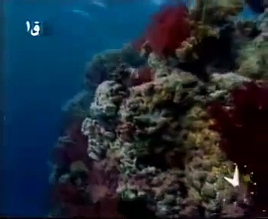 العلم والإيمان | محفل تحت الماء