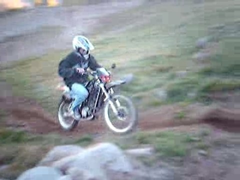 mur mob Dorian brout