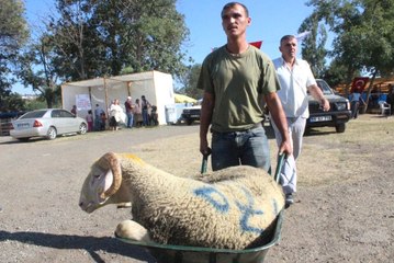 Tekirdağlı Hamallar, Kurban Bayramını Her Yıl Dört Gözle Bekliyorlar