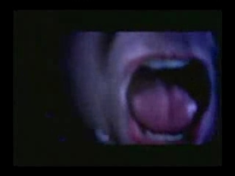 Chimaira - Split