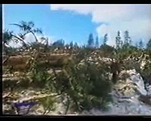 العلم والإيمان | شمس منتصف الليل