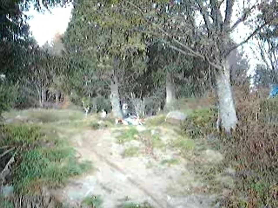 Moi mini montée