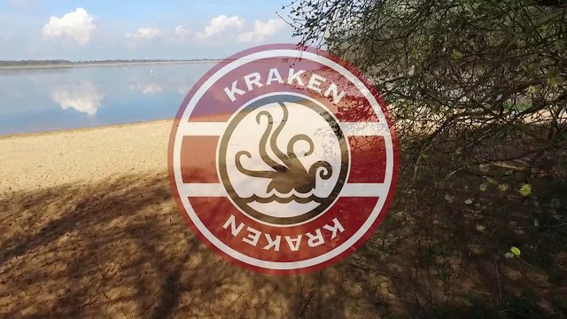 HPI Racing Baja 5B Kraken RTRs