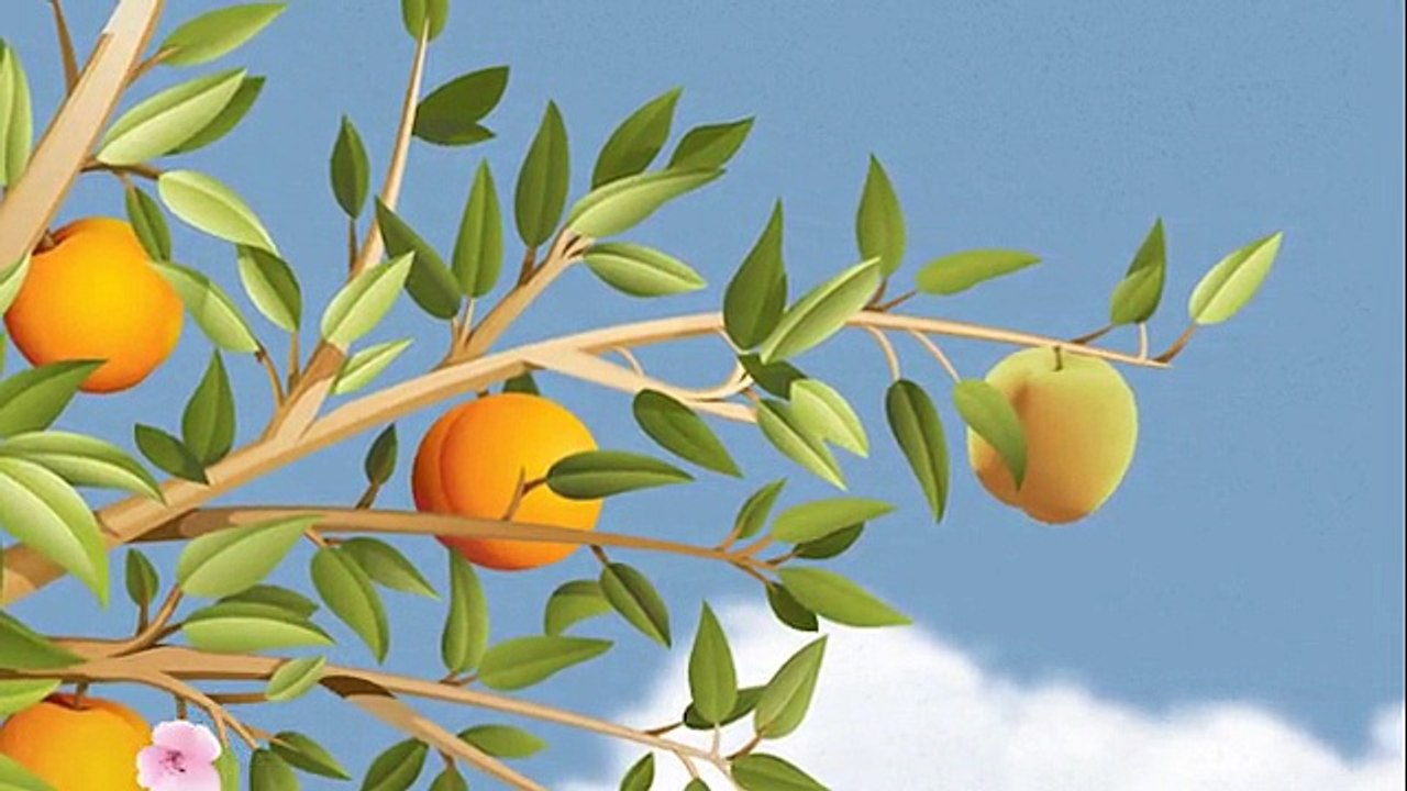 A FRUITFUL RETIREMENT: SOCIAL SECURITY BENEFIT