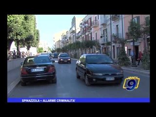 Spinazzola |  Allarme criminalità