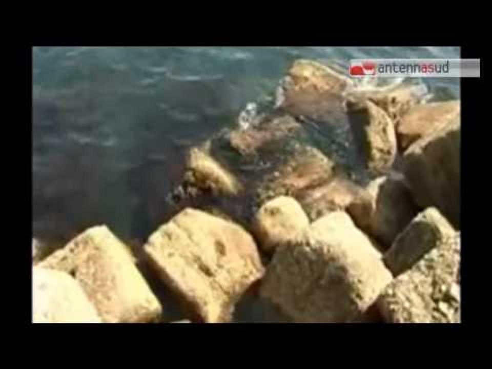 TG 08.07.14 Allarme alga tossica, primi casi a Bari