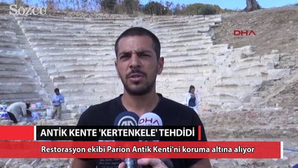 Parion Antik Kenti'ne 'kertenkele' tehdidi
