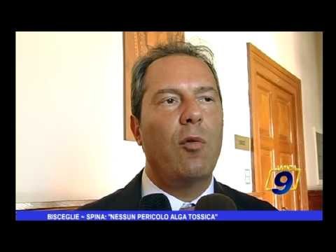 Bisceglie | Spina: nessun pericolo alga tossica