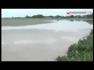 TG 24.07.14 Coldiretti: "Temporali e freddo contribuiscono a calo di posti di lavoro"