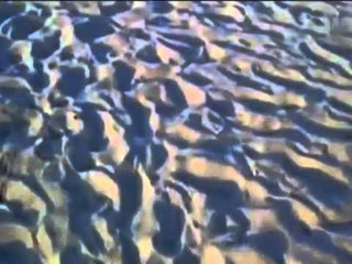 TGSRV13ago_brindisi_falo_ustiona_bimbo.mov TG 14.08.14