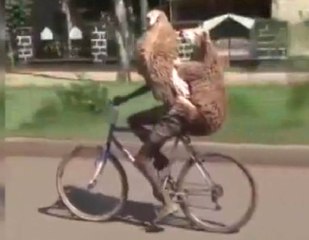 Gören Bir Daha Baktı: Bisikletle 2 Kurbanlık Taşıdı