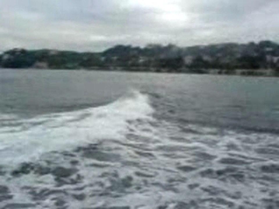MOV00011