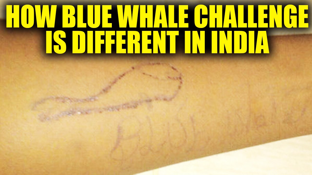 Blue Whale Challenge India Has An Independent Curator Suspects Investigators Oneindia News