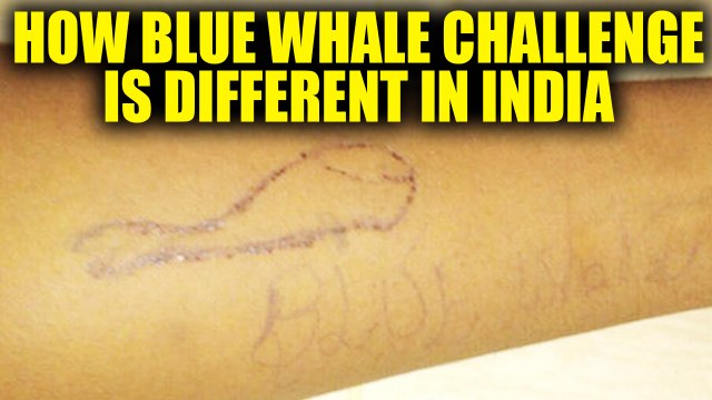 Blue Whale Challenge : India has an independent curator, suspects investigators | Oneindia News