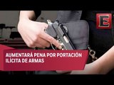 Cámara de diputados analizará Ley de Portación de Armas