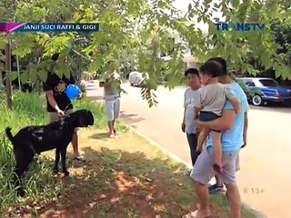 JSTTV Kambing Qurban 020917 Part 2