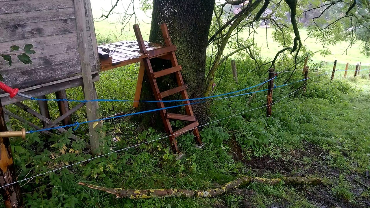 Unsere Kanzel / Hochsitz wurde durch den Sturm leicht beschädigt