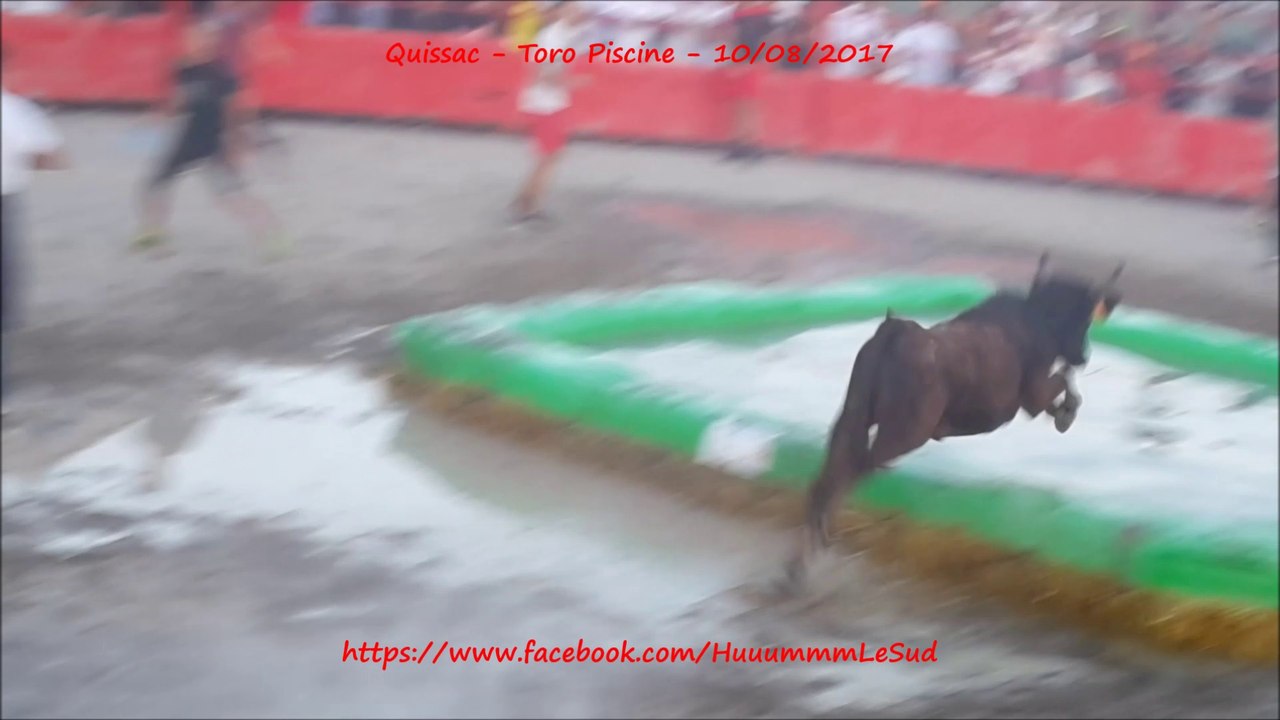 Quissac-Toro Piscine-10/08/2017