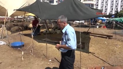 Adana Hayvan Pazarında Silahlı Kavga 3 Yaralı