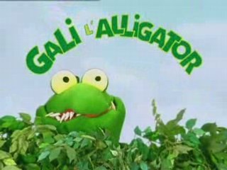 Gali l'alligator