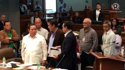 Gordon, Trillanes in heated exchange during August 31 Senate hearing