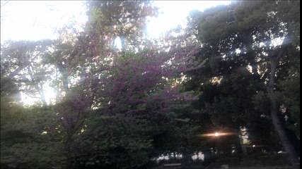 ΨΕΜΑΤΑ ΨΕΜΑΤΑ