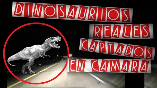 LOS 10 DINOSAURIOS REALES CAPTADOS EN CAMARA Y VISTOS EN LA VIDA REAL QUE TE IMPACTARAN | OSCAR JACK
