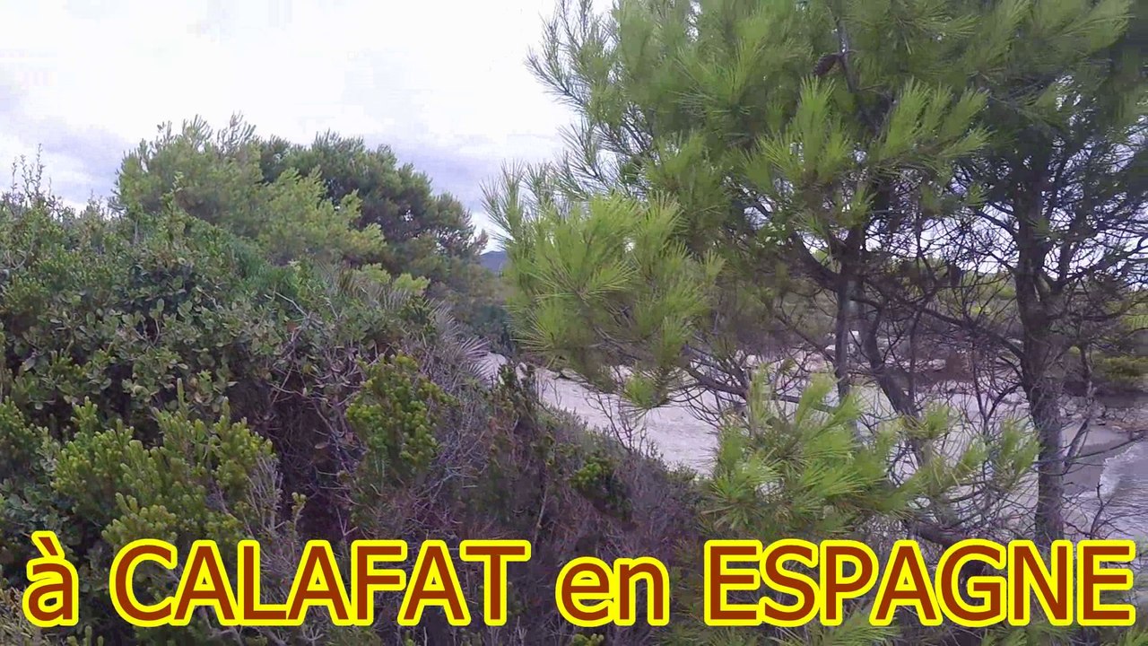 Rando VTT à Calafat