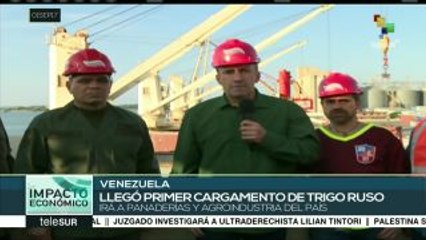 Llega a Venezuela primer cargamento de trigo ruso para producir pan