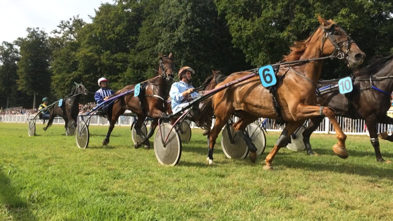 Les premières courses hippiques au grand galop